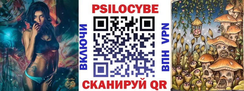 Псилоцибиновые грибы Cubensis  магазин  наркотиков  Суджа 